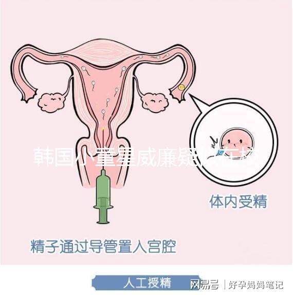 韓國小童星威廉疑似在校被霸凌？父親Sam辟謠：凹高冷人設(shè)