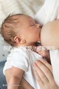 陜西省試管嬰兒可報銷生育險？專家：納入醫保時間還未確定