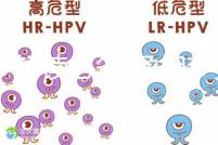 胎夢(mèng)解讀必備!孕婦夢(mèng)見鴿子所象征的含義介紹