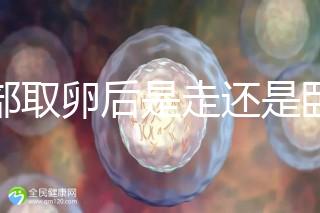 腹部取卵后是走還是臥床?適當走路喝點紅豆水是正確做法