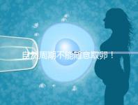 自然周期不能隨意取卵！滿足3點要求才能順利進行