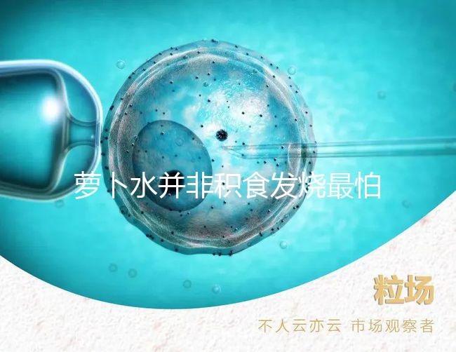 蘿卜水并非積食發(fā)燒最怕的1種水，天天煮這些喝胃口倍棒