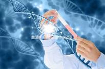 血清前白蛋白是什么?預示肝功能是否損害的早期指標