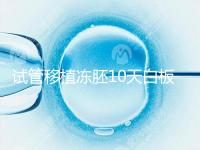 試管移植凍胚10天白板咋辦？懷孕還有希望別擔(dān)心