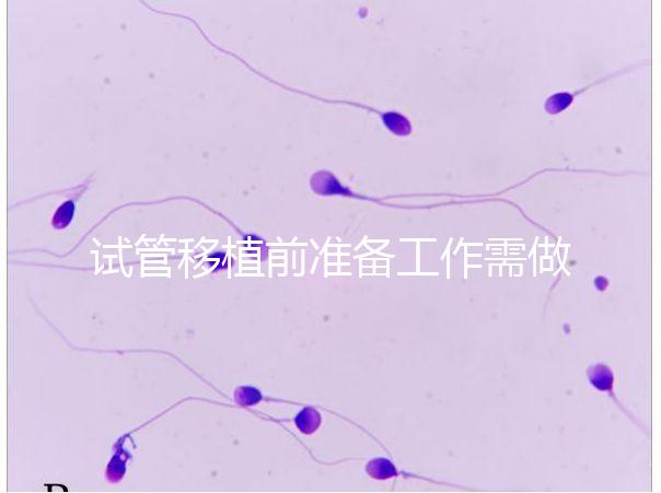 試管移植前準備工作需做好，子宮內(nèi)膜容受檢查的評分要達標
