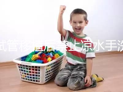 試管移植后禁止涼水手洗衣服有原因，小心感冒、腹瀉找上門