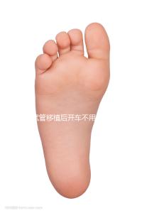 試管移植后開(kāi)車(chē)不用太講究，休息和出行問(wèn)題解答都在這里