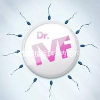 試管移植后14天內能不能吃山竹，孕婦吃山竹作用一覽！