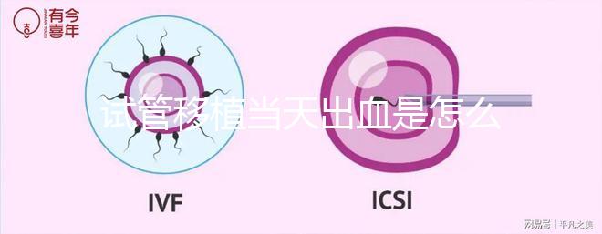 試管移植當天出血是怎么回事？收好你的“玻璃心”別太擔心