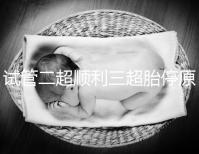 試管二超順利三超胎停原因分析，多半和保胎藥停早了有關