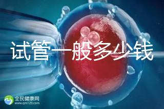 試管一般多少錢