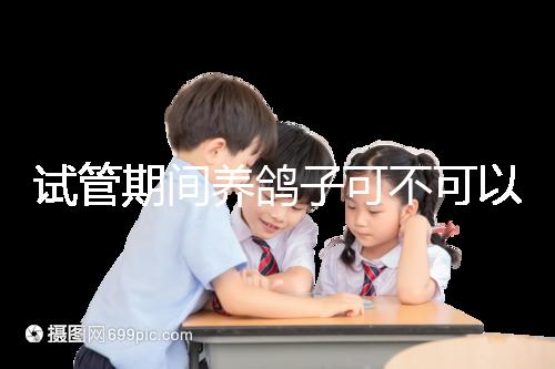 試管期間養(yǎng)鴿子可不可以大揭秘，影響抵抗力千萬(wàn)注意