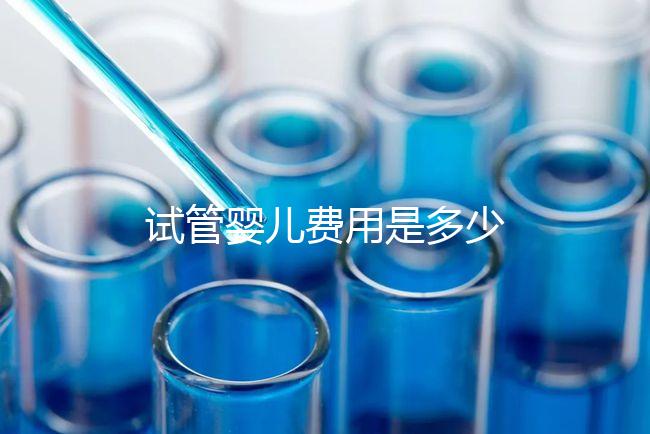 試管嬰兒費(fèi)用是多少