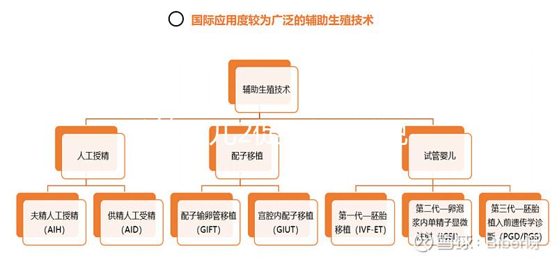 試管嬰兒2促3移，說說5點我的成功懷孕經驗