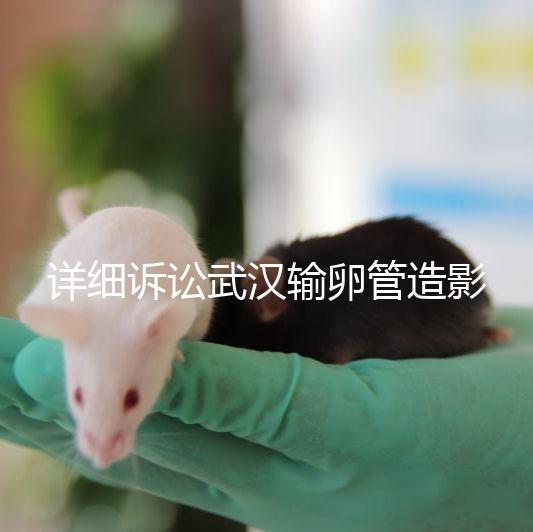 詳細訴訟武漢輸卵管造影檢查多少錢，能否報銷，不要錯過