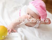 詳解胎盤成熟度怎么檢查、正常值是多少，附超聲報告解讀