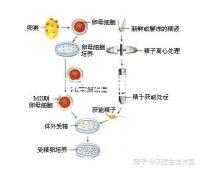 輪狀病毒疫苗雖非終身免疫，寶寶接種的好處不止一點