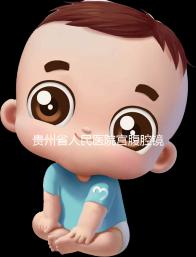 貴州省人民醫(yī)院宮腹腔鏡曝光多少錢(qián)?2024年怎么預(yù)約?