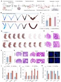 貴州六盤(pán)水做試管嬰兒多少錢(qián)？能做試管的醫(yī)院名單來(lái)了