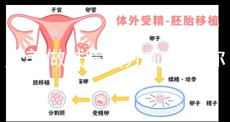 赴美做試管嬰兒前，教你如何攻破最難的“醫(yī)療簽證”！