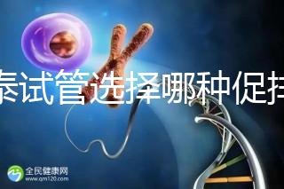 赴泰試管選擇哪種促排方案好？客觀解讀微刺激方案的利弊