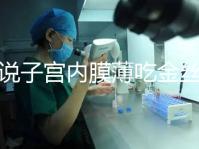 誰說子宮內膜薄吃金絲燕窩沒有用，長內膜、增加卵泡還有…