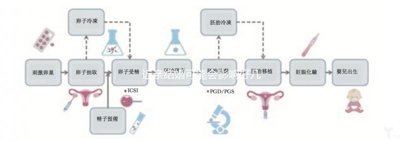 近親結婚可能會影響好幾代人，危害你真的承受不起！