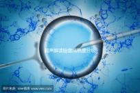 超聲解讀胎盤成熟度分級標(biāo)準(zhǔn),二級到三級時(shí)間真說不準(zhǔn)