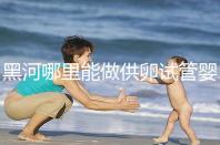 黑河哪里能做供卵試管嬰兒？美國/柬埔寨成首選
