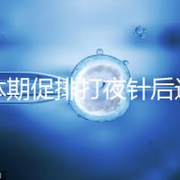 黃體期促排打夜針后還要吃地屈孕酮！服用后作用可真不少