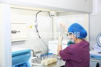 50歲高齡在北京“自卵”做試管嬰兒成功率高嗎？