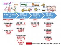 5bc囊胚移植后第六天測兩條杠要注意，第九天沒了不在少數