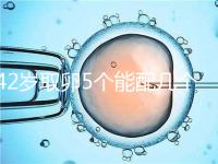 42歲取卵5個能配幾個胚胎難說,只有2個許是技術差導致