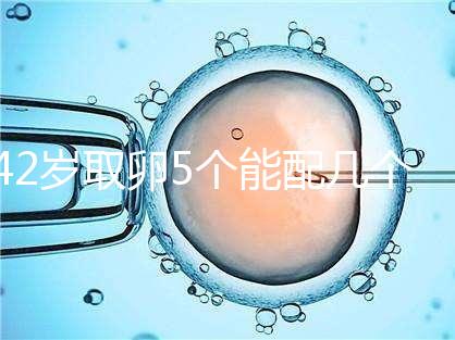 42歲取卵5個能配幾個胚胎難說，只有2個許是技術差導致