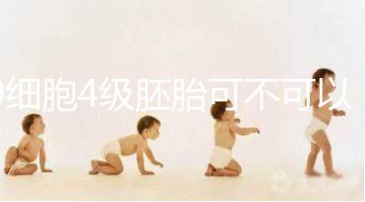 9細(xì)胞4級胚胎可不可以移植，看完質(zhì)量差不差再下定論