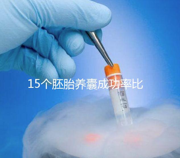 15個胚胎養囊成功率比想象高，只成了1個不正常要警惕