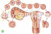 2024年六安男科醫院排名發布，裕安哪個好文件告訴答案