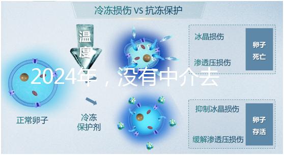 2024年，沒有中介去泰國做試管嬰兒？他們有必要這么說嗎？...