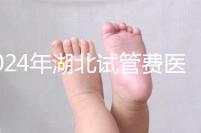 2024年湖北試管費醫(yī)療保險可以報銷?專家:時間還沒到?