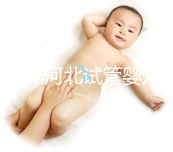 2024年河北試管嬰兒費用可以報銷嗎?補貼金額真的那么大?