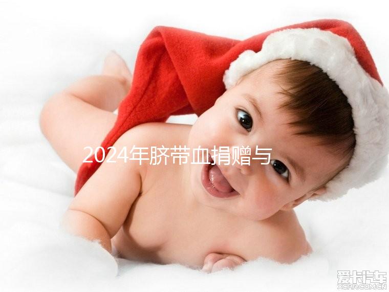 2024年臍帶血捐贈與自存的區別來襲，哪個是好的揭秘？