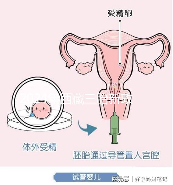 2024年西藏三胎新政策出臺，拉薩、日喀則產假戳多久？