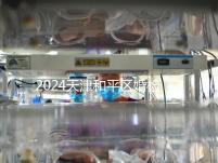 2024天津和平區(qū)婚檢預(yù)約并不難！最重要的是找到免費(fèi)醫(yī)院！