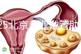 2025北京專(zhuān)業(yè)試管助孕機(jī)構(gòu)可靠推薦來(lái)咯,這3家超棒,快碼住!