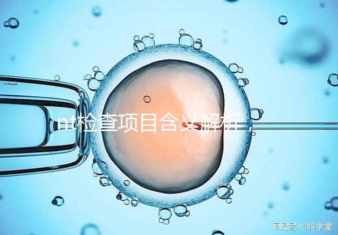 nt檢查項目含義解析，每個內容都相當重要